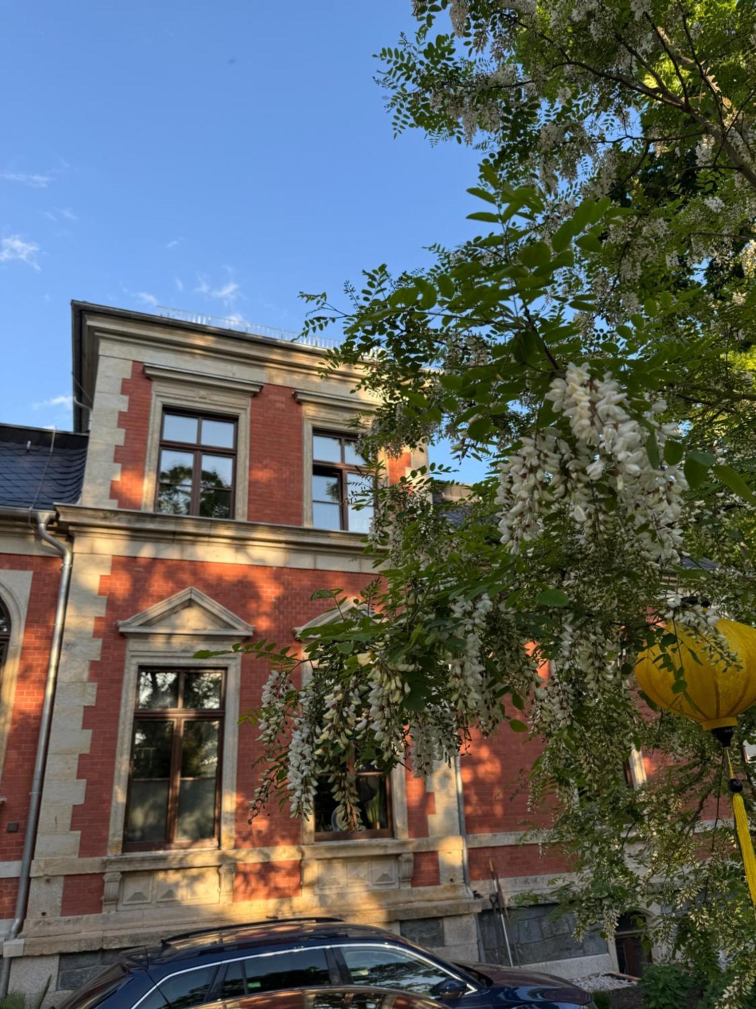 * Stadtvilla Plauen * * Aussergewoehnlich * 2 Zimmerwohnung * Zentrumsnah Exteriér fotografie